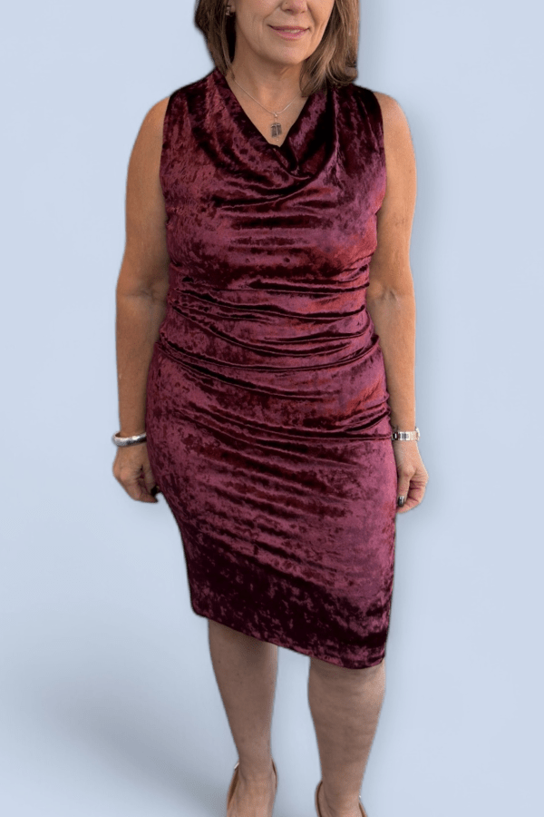 Woman wearing a burgundy velvet dress against a light blue background
